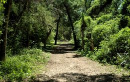ParqueNacional Chaco.jpg