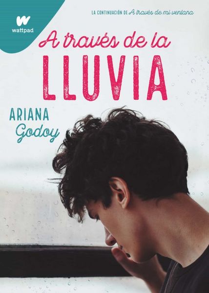 Archivo:A TRAVES DE LA LLUVIA.jpg