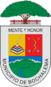 Escudo de Bochalema
