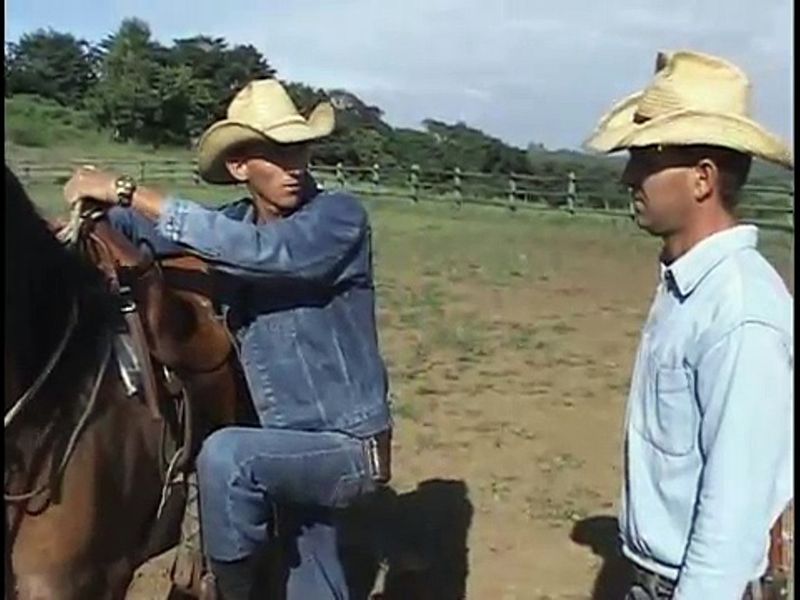 Archivo:Escueladomacaballo.jpg