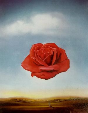 Rosa meditativa.jpg