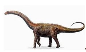 Adamantisaurus.JPG