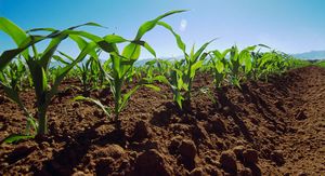 Agricultura-conservacion.jpg