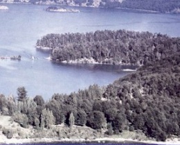 Bosque-andino1.JPG