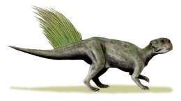 Psittacosaurus mongoliensis whole bw.jpg