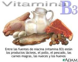 Vitamina B3.jpg