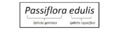 Miniatura de la versión del 06:42 15 may 2022
