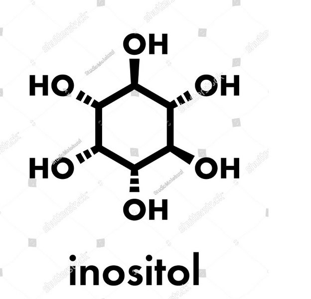Archivo:Inositol.jpg