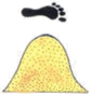 Escudo de Tlaltizapán