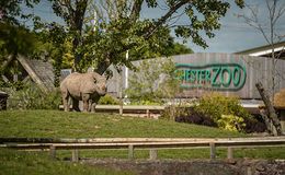 Chester-Zoo.jpg