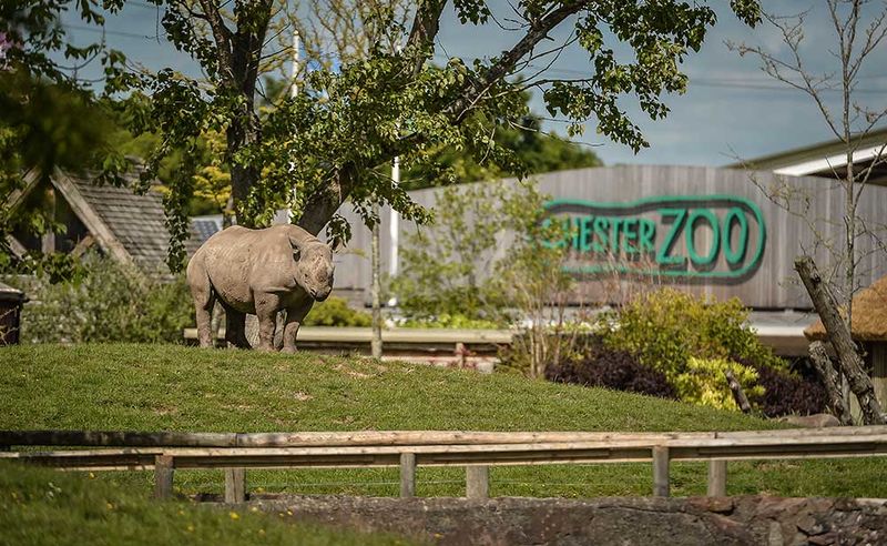 Archivo:Chester-Zoo.jpg