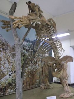 Paleo2.jpg