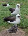 Miniatura de la versión del 02:38 22 feb 2013