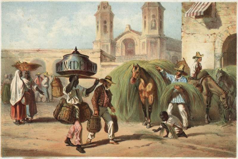 Archivo:Mialhe4.jpg