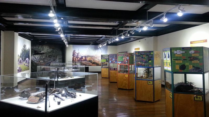 Archivo:Prehistoria 0.jpg