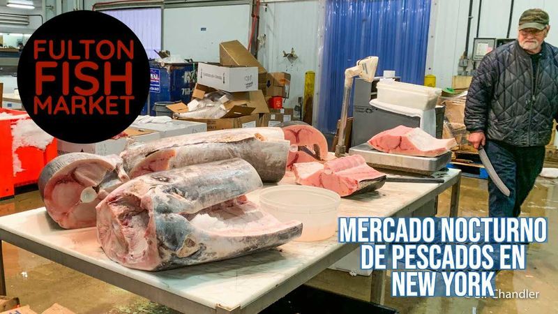 Archivo:1602017496131.jpg