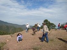 32841252 alameda.jpg