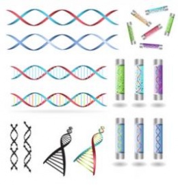 Biometría por ADN Huella Genética.JPG