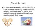 Miniatura de la versión del 09:32 4 jun 2015