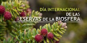 Dia Internacional de las Reservas Biosfera.jpg