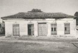 Jigue151.jpg