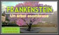 Miniatura de la versión del 00:34 6 dic 2022