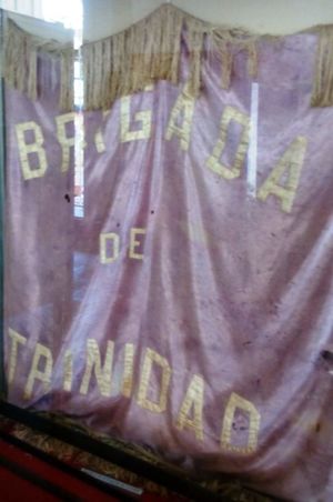 Bandera de Brigada de Trinidad.jpg