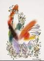 Serie Gallos