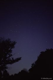 Andromeda28v-b.jpg