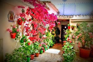 Fiesta de los patios portuenses.jpg