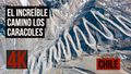 Miniatura de la versión del 17:38 22 feb 2020