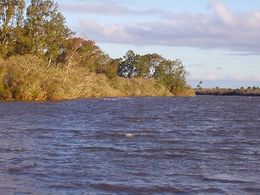 Rio Cebollatí.jpg