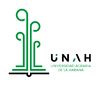 Identidad UNAH-11.jpg