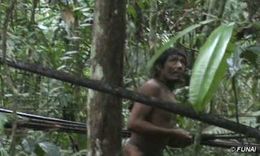 Kawahiva.jpg