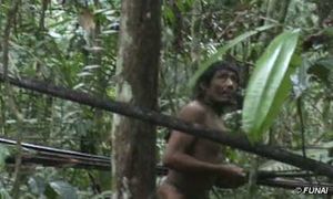 Kawahiva.jpg