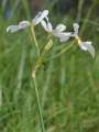 Miniatura de la versión del 15:21 4 ago 2014