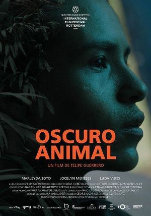 Oscuro animal-528215914-large.jpg