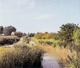 Canal de Tauste en las proximidades de Pradilla de Ebro.jpg