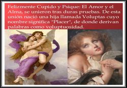 Voluptas.jpg