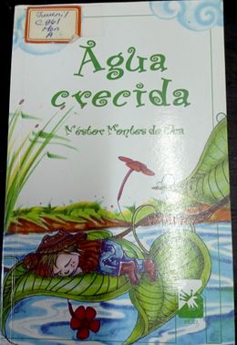 Agua crecida-Nestor Montes de Oca.jpg
