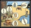 Miniatura de la versión del 07:14 8 nov 2018