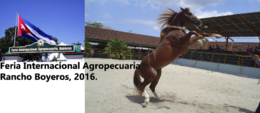 Feria 20boyero 20v1.png