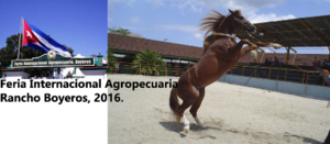 Feria 20boyero 20v1.png