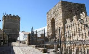 Torreboa.png