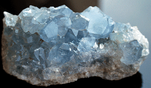 Celestina.gif