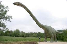 Seismosaurus.jpg
