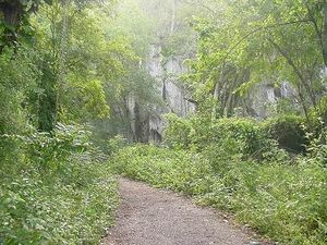 Laguna vieja.JPG