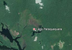 Paraquequara.JPG
