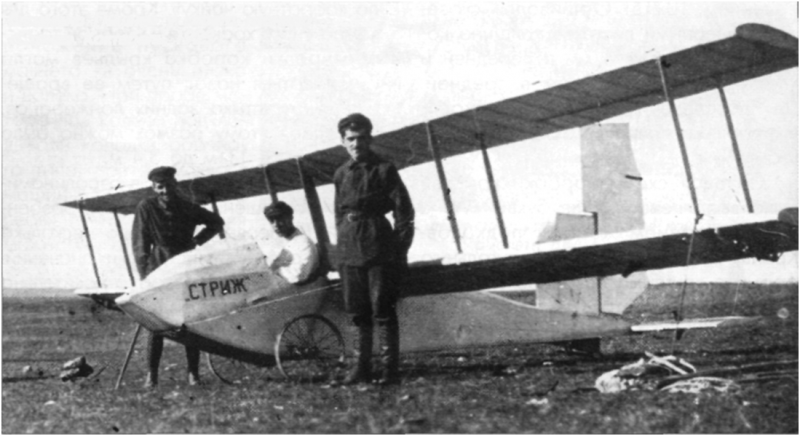 Archivo:Pyshnov Strizh.png
