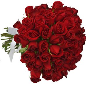 Rosas rojas.jpg
